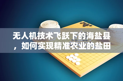 无人机技术飞跃下的海盐县，如何实现精准农业的盐田之舞？