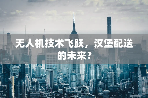 无人机技术飞跃，汉堡配送的未来？