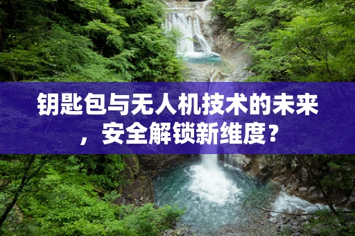 钥匙包与无人机技术的未来，安全解锁新维度？