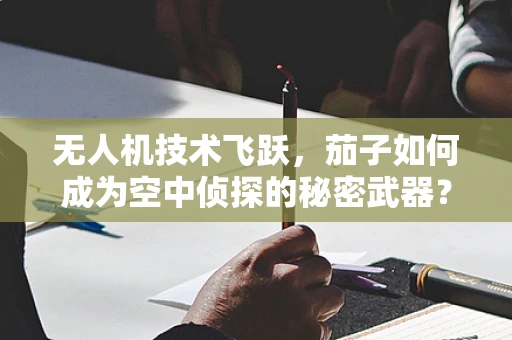 无人机技术飞跃，茄子如何成为空中侦探的秘密武器？
