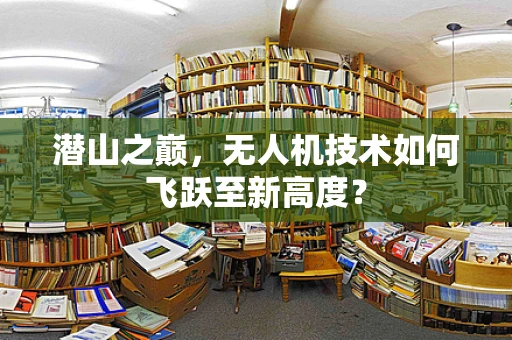 潜山之巅，无人机技术如何飞跃至新高度？