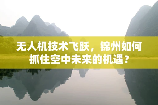 无人机技术飞跃，锦州如何抓住空中未来的机遇？