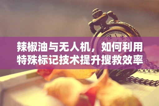 辣椒油与无人机，如何利用特殊标记技术提升搜救效率？