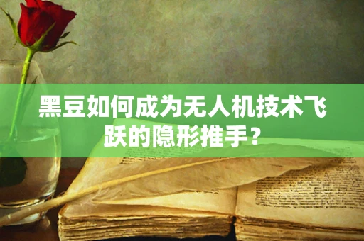 黑豆如何成为无人机技术飞跃的隐形推手？