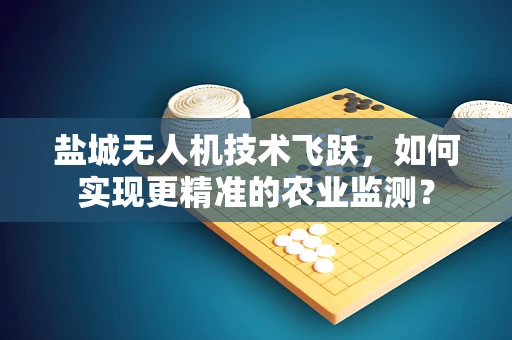 盐城无人机技术飞跃，如何实现更精准的农业监测？