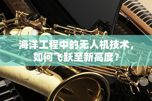海洋工程中的无人机技术，如何飞跃至新高度？