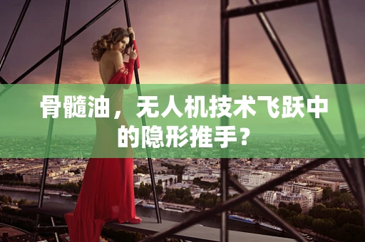 骨髓油，无人机技术飞跃中的隐形推手？
