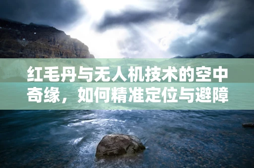 红毛丹与无人机技术的空中奇缘，如何精准定位与避障？