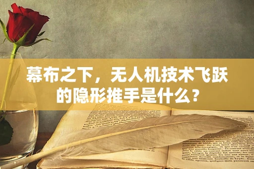 幕布之下，无人机技术飞跃的隐形推手是什么？