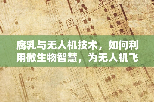 腐乳与无人机技术，如何利用微生物智慧，为无人机飞行性能带来飞跃？