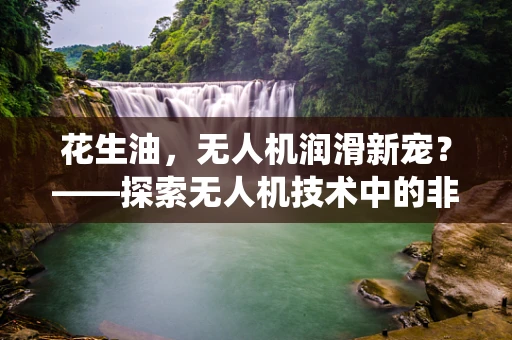 花生油，无人机润滑新宠？——探索无人机技术中的非传统润滑剂应用
