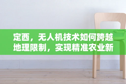 定西，无人机技术如何跨越地理限制，实现精准农业新飞跃？
