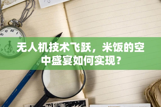 无人机技术飞跃，米饭的空中盛宴如何实现？