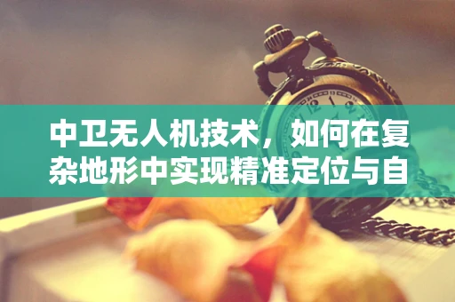 中卫无人机技术，如何在复杂地形中实现精准定位与自主导航？