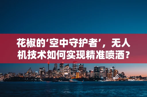 花椒的‘空中守护者’，无人机技术如何实现精准喷洒？