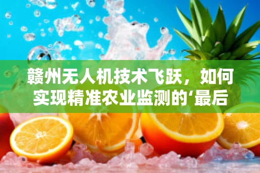 赣州无人机技术飞跃，如何实现精准农业监测的‘最后一公里’？