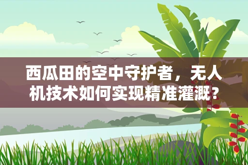 西瓜田的空中守护者，无人机技术如何实现精准灌溉？
