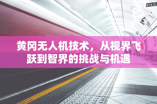 黄冈无人机技术，从视界飞跃到智界的挑战与机遇