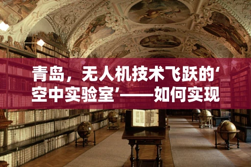 青岛，无人机技术飞跃的‘空中实验室’——如何实现精准城市管理与环境监测？