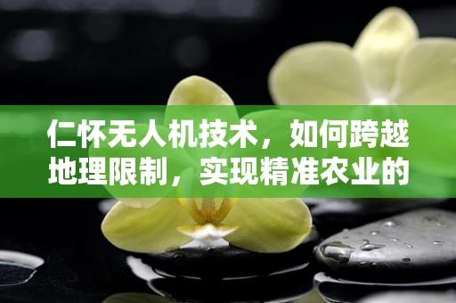 仁怀无人机技术，如何跨越地理限制，实现精准农业的飞跃？