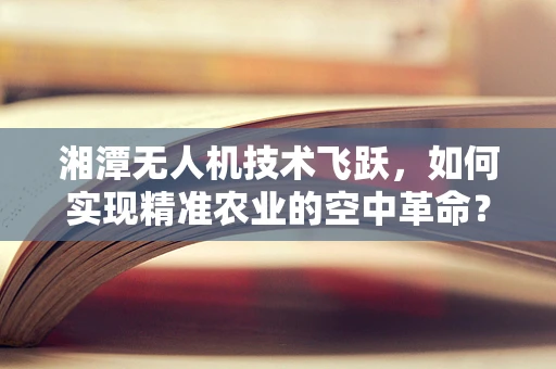 湘潭无人机技术飞跃，如何实现精准农业的空中革命？