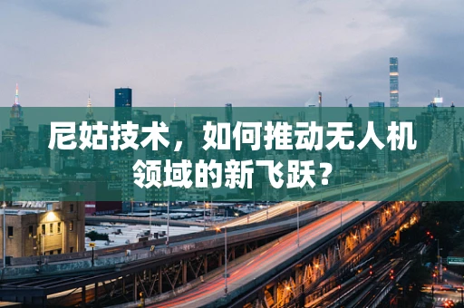 尼姑技术，如何推动无人机领域的新飞跃？