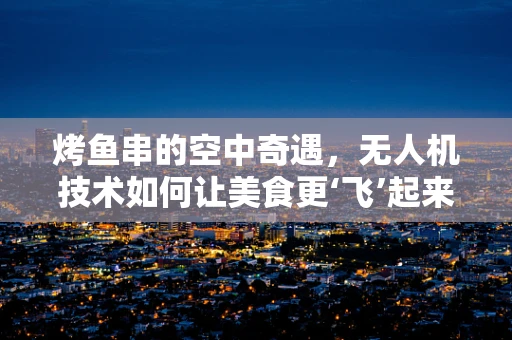 烤鱼串的空中奇遇，无人机技术如何让美食更‘飞’起来？