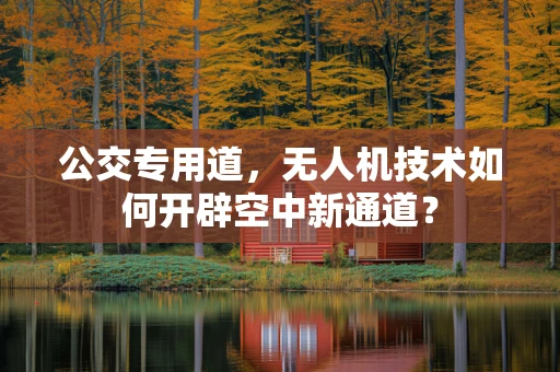 公交专用道，无人机技术如何开辟空中新通道？