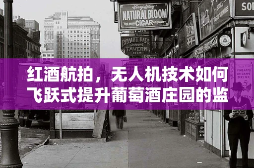 红酒航拍，无人机技术如何飞跃式提升葡萄酒庄园的监控与品鉴？