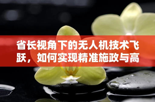 省长视角下的无人机技术飞跃，如何实现精准施政与高效监管？
