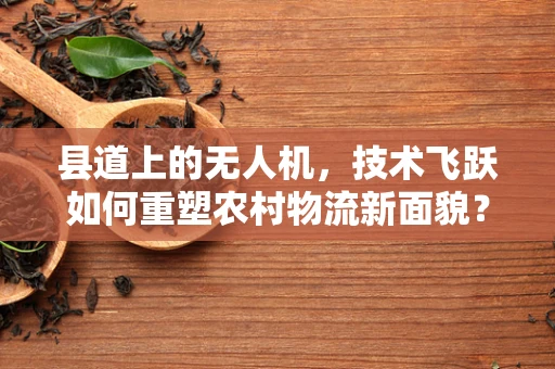 县道上的无人机，技术飞跃如何重塑农村物流新面貌？