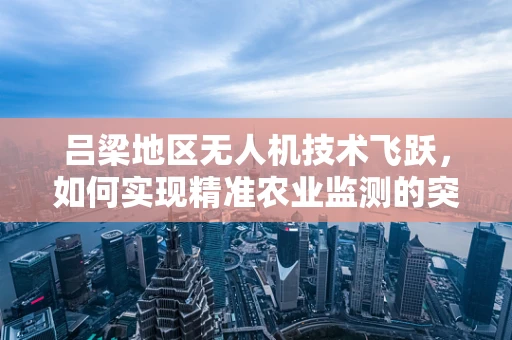 吕梁地区无人机技术飞跃，如何实现精准农业监测的突破？