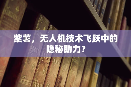 紫薯，无人机技术飞跃中的隐秘助力？