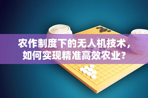 农作制度下的无人机技术，如何实现精准高效农业？