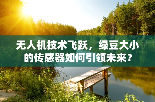 无人机技术飞跃，绿豆大小的传感器如何引领未来？