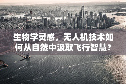 生物学灵感，无人机技术如何从自然中汲取飞行智慧？