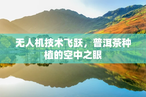 无人机技术飞跃，普洱茶种植的空中之眼