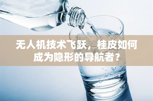 无人机技术飞跃，桂皮如何成为隐形的导航者？