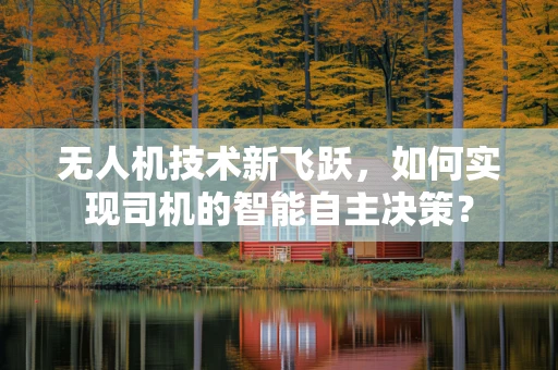 无人机技术新飞跃，如何实现司机的智能自主决策？