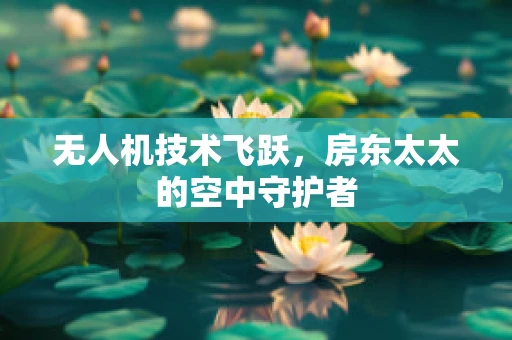 无人机技术飞跃，房东太太的空中守护者