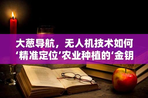 大葱导航，无人机技术如何‘精准定位’农业种植的‘金钥匙’？