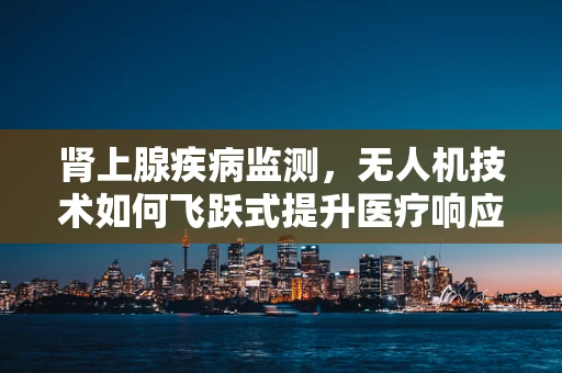 肾上腺疾病监测，无人机技术如何飞跃式提升医疗响应速度？