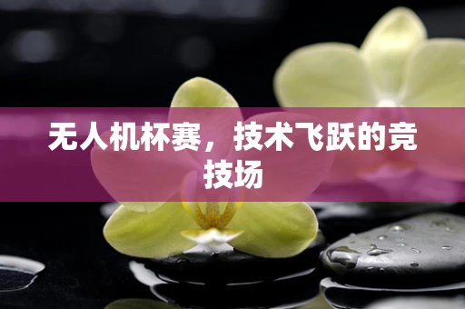 无人机杯赛，技术飞跃的竞技场