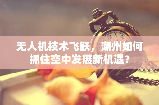 无人机技术飞跃，潮州如何抓住空中发展新机遇？