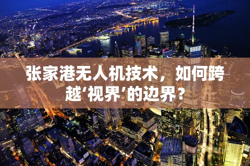 张家港无人机技术，如何跨越‘视界’的边界？