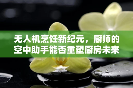 无人机烹饪新纪元，厨师的空中助手能否重塑厨房未来？