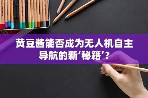 黄豆酱能否成为无人机自主导航的新‘秘籍’？