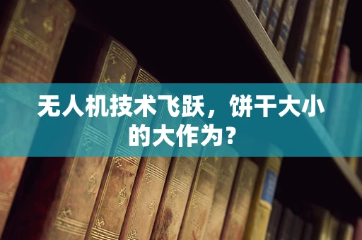 无人机技术飞跃，饼干大小的大作为？