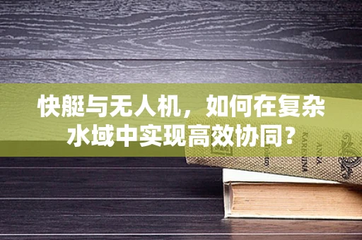 快艇与无人机，如何在复杂水域中实现高效协同？