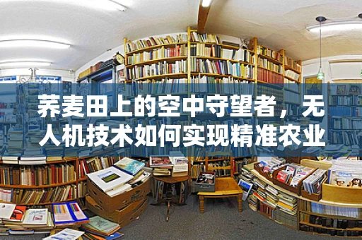 荞麦田上的空中守望者，无人机技术如何实现精准农业监测？